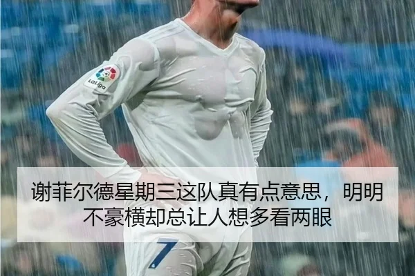 谢菲尔德星期三这队真有点意思，明明不豪横却总让人想多看两眼