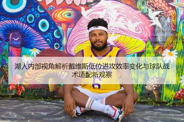 湖人内部视角解析戴维斯低位进攻效率变化与球队战术适配新观察