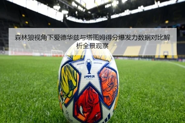 森林狼视角下爱德华兹与塔图姆得分爆发力数据对比解析全景观察