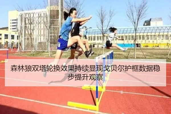 森林狼双塔轮换效果持续显现戈贝尔护框数据稳步提升观察
