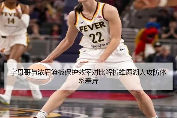字母哥与浓眉篮板保护效率对比解析雄鹿湖人攻防体系差异
